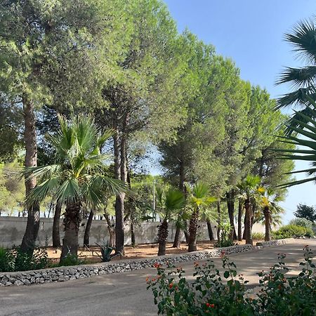 Casette Masseria La Camardia Sava Екстер'єр фото