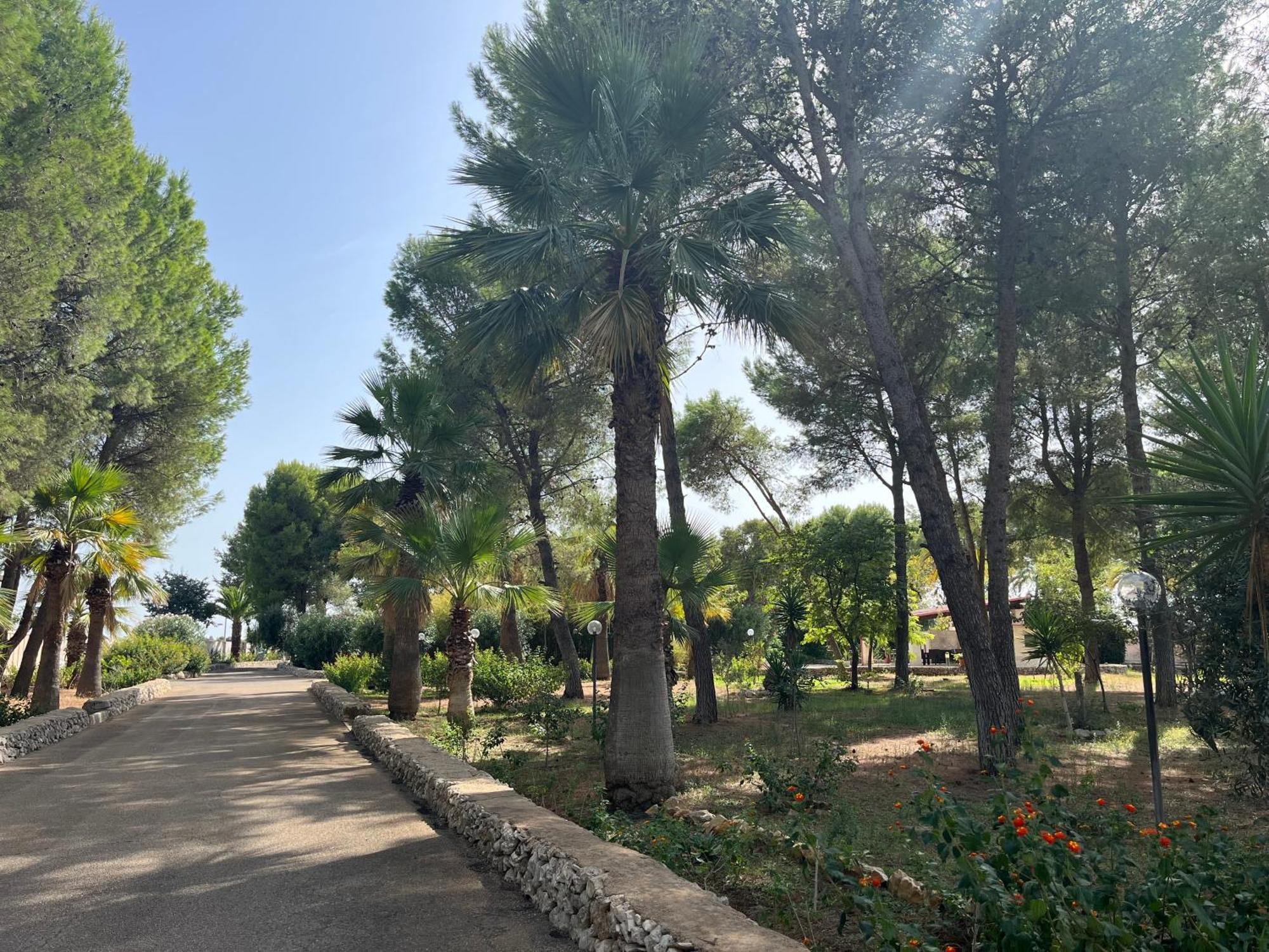 Casette Masseria La Camardia Sava Екстер'єр фото
