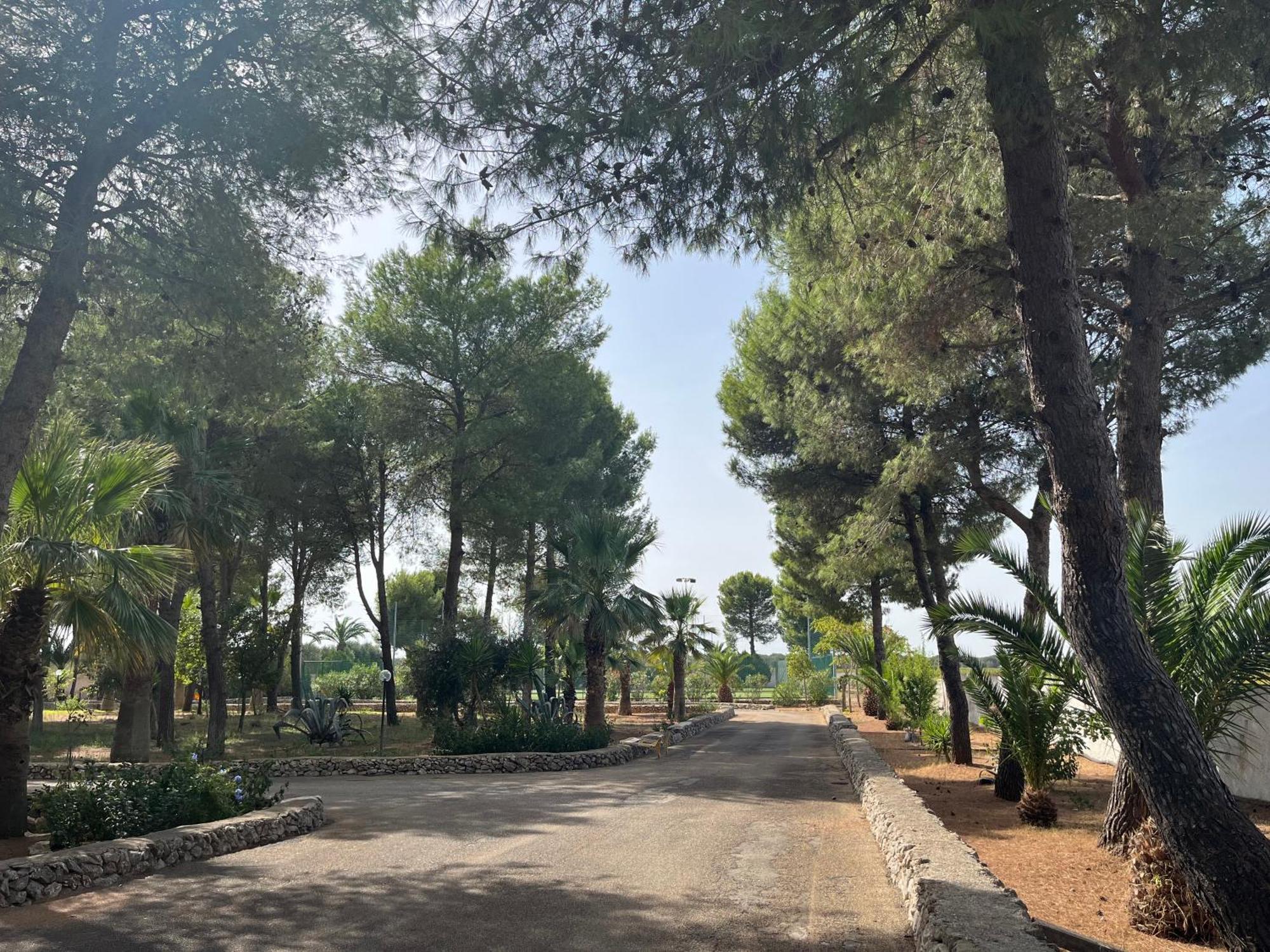 Casette Masseria La Camardia Sava Екстер'єр фото