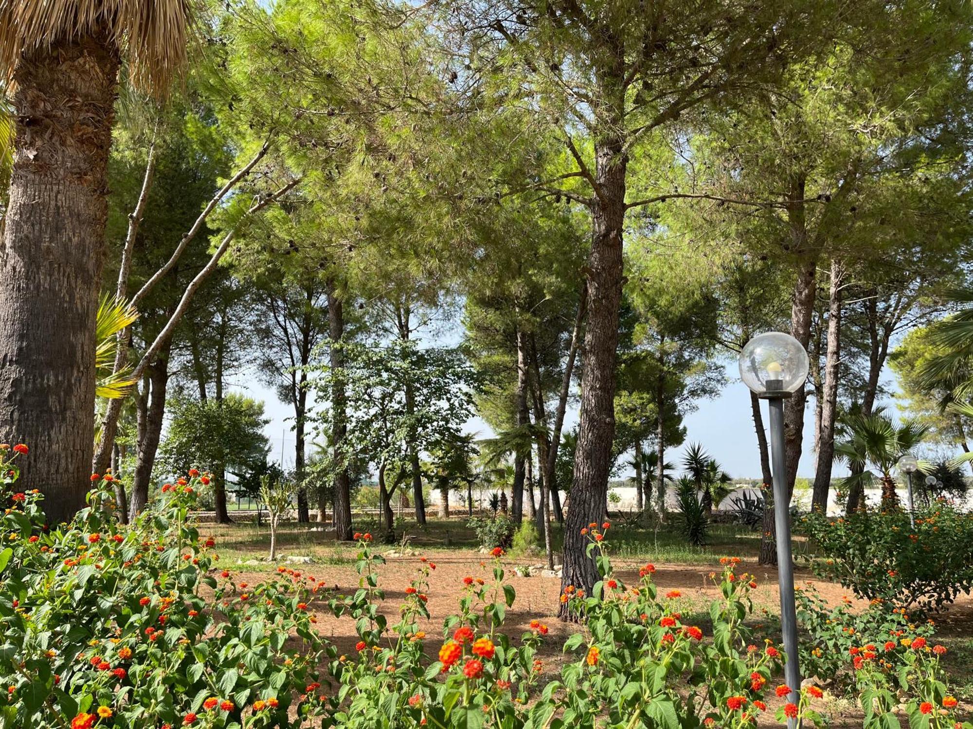 Casette Masseria La Camardia Sava Екстер'єр фото